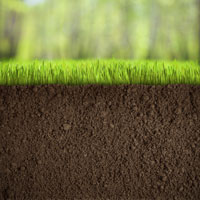 Fertilizing and Soil Conditioning